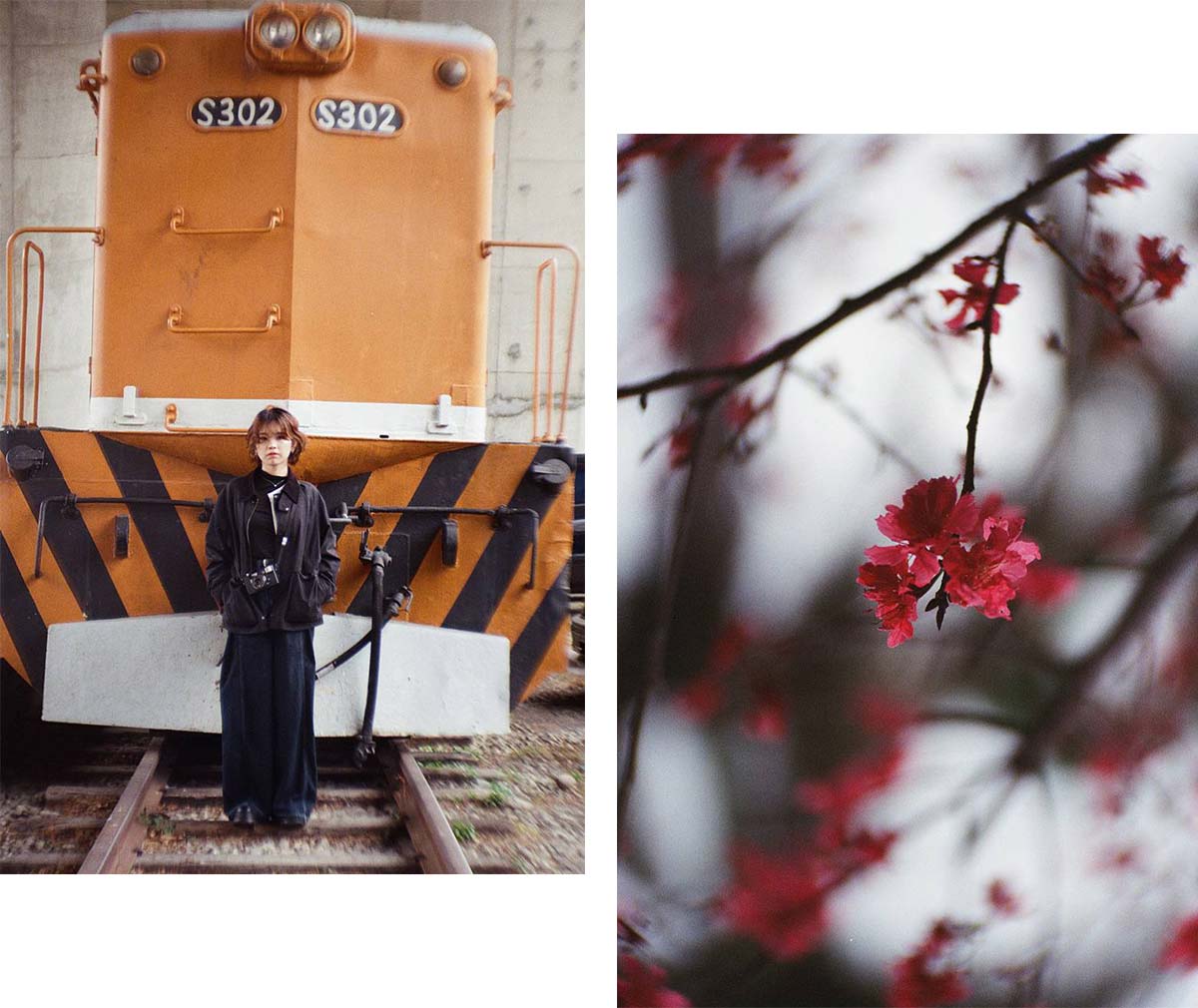 Lente Artistica Petzval 80.5 f/1.9 MKII Bokeh Control
