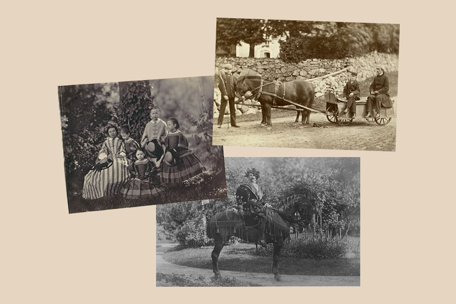 A Petzval Puzzle Series