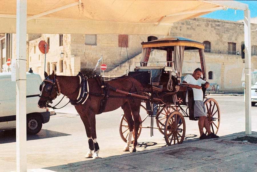 Capture All the Colors