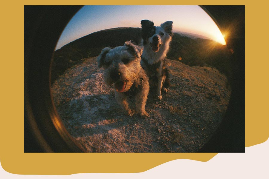 Your Fisheye Moments