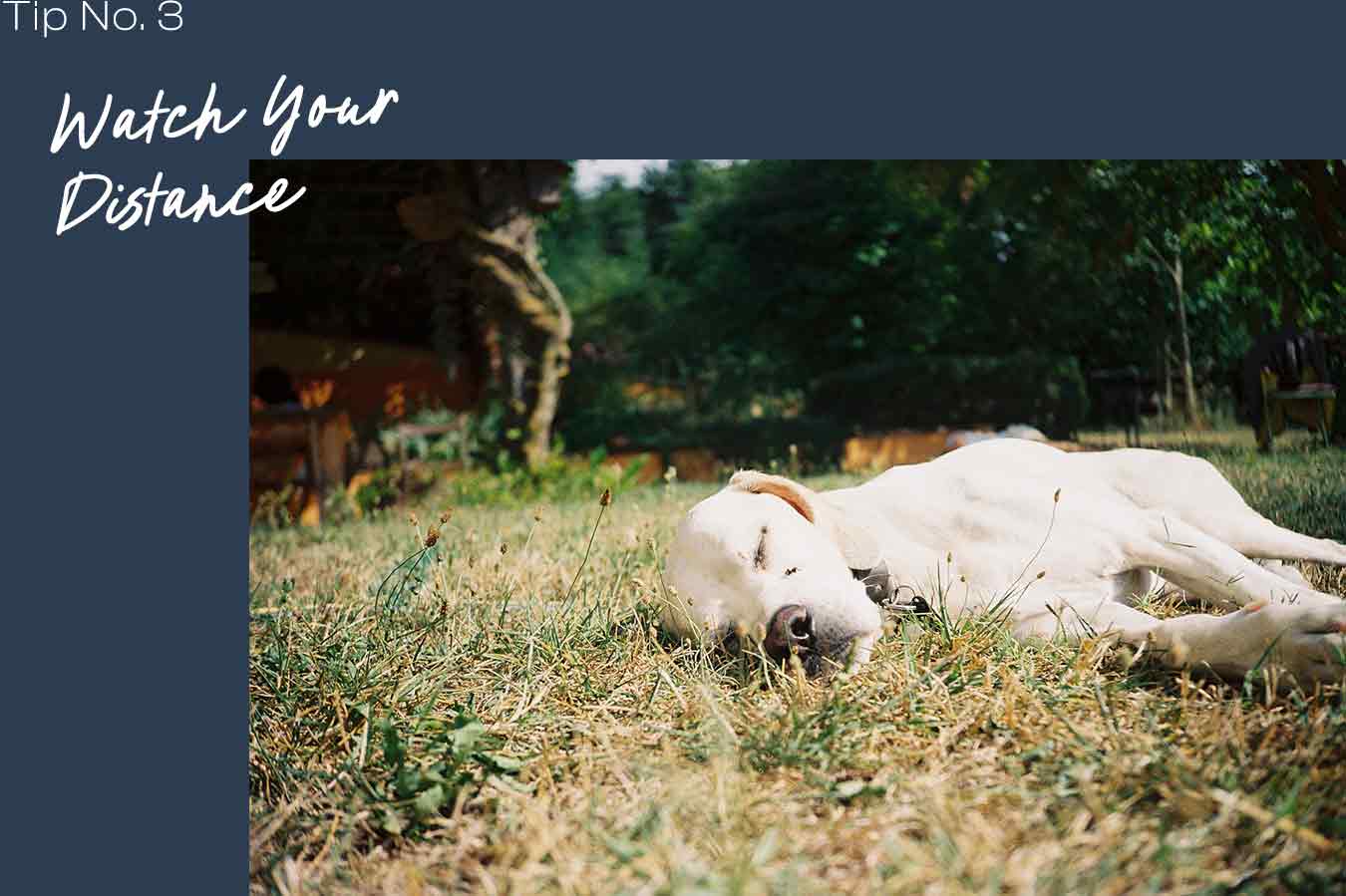 Tip 3: Watch Your Distance