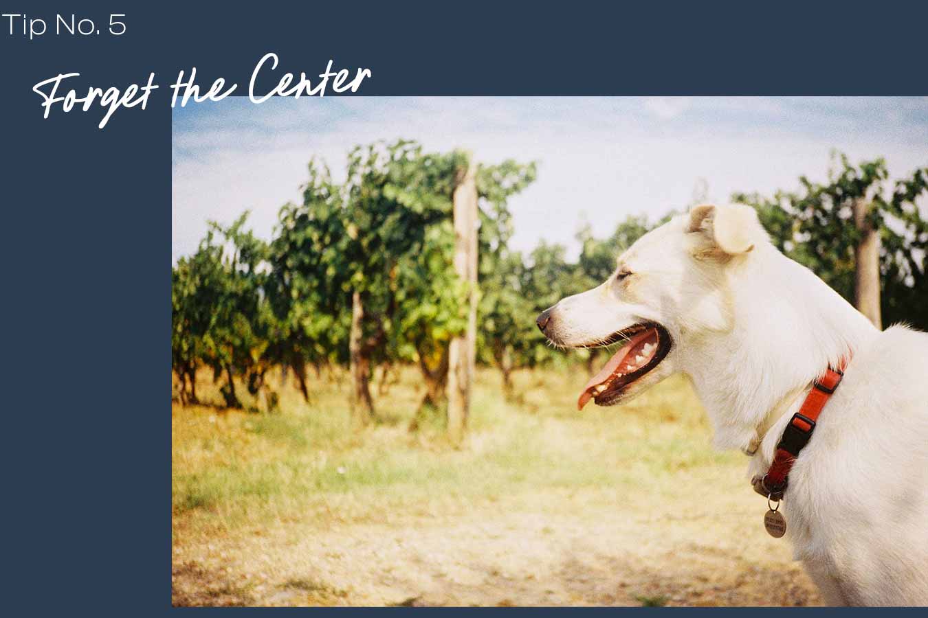 Tip 5: Forget the Center