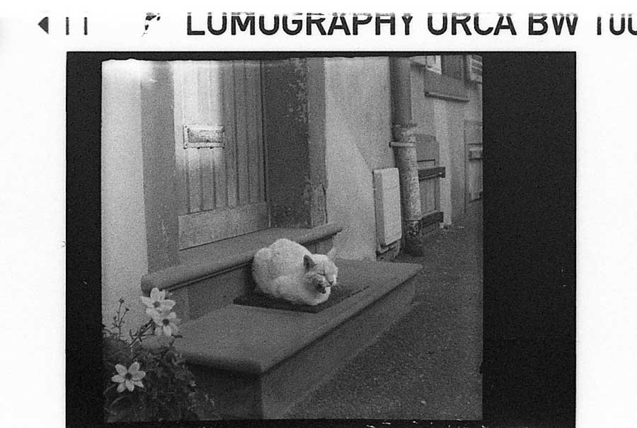 Our Lovely Lomomatic